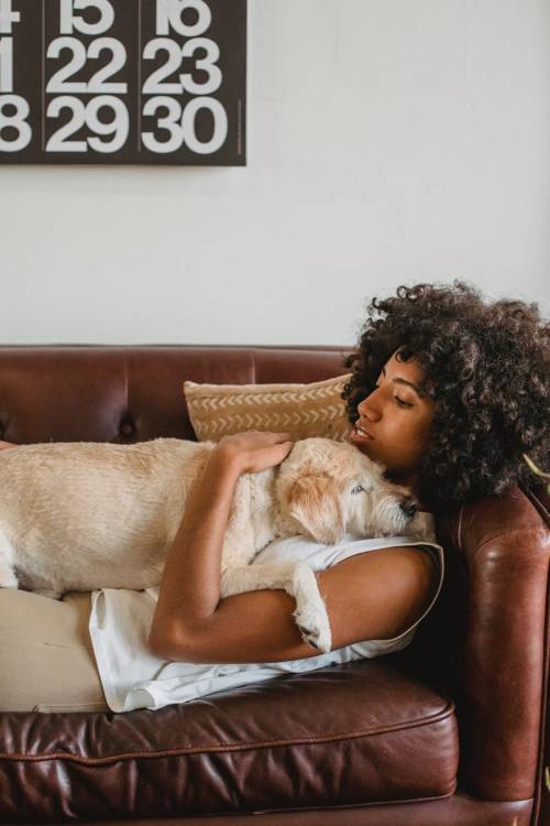 Così si impara a convivere con i cani ciechi o sordi