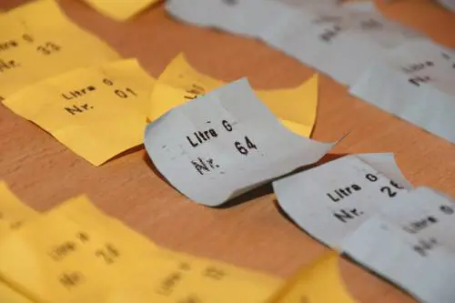 "Insulti l'Italia? Vinci un premio" Adesso spunta la lotteria choc