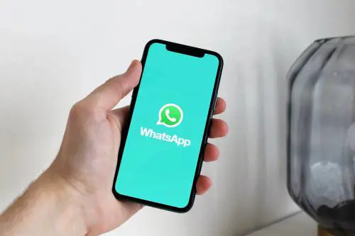WhatsApp cambia i vocali: ecco come