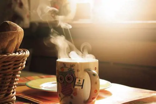 Tisane, ecco le migliori per attivare il metabolismo