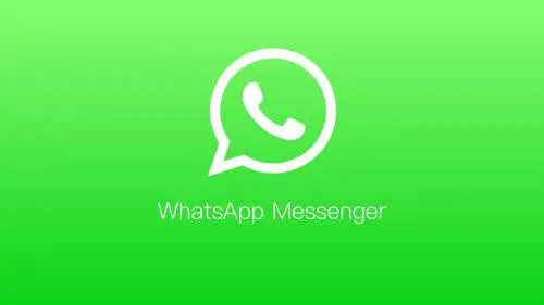 WhatsApp, arriva la novità più attesa: videochiamate anche dal pc