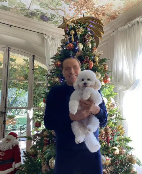 Gli auguri di Natale dei politici italiani