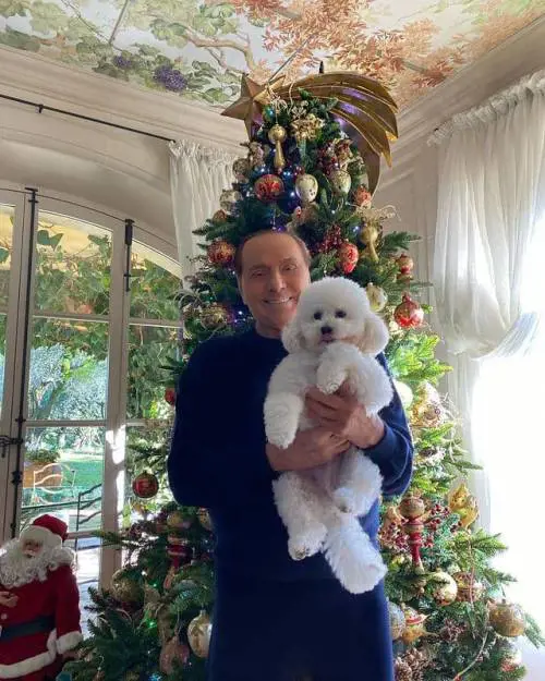 Da Dudù al brindisi di lady Di Maio. Così il Covid cambia gli auguri della politica