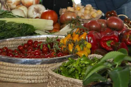Nutrizione e cancro, una dieta sana aiuta a prevenire la malattia?