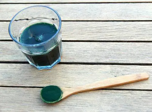 Alga spirulina, il superfood dall'effetto energizzante