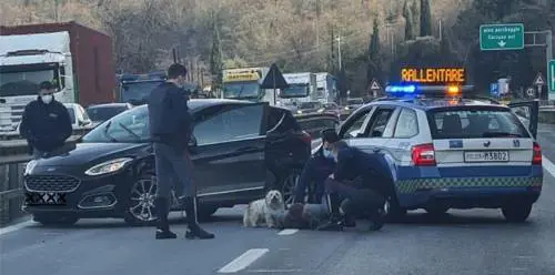Mezz'ora di follia contromano in autostrada. "L'ho fatto per adrenalina"