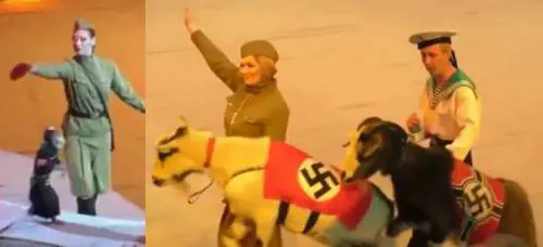 "La scimmia ha l'uniforme nazista". Bufera per lo spettacolo del circo