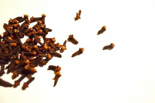 Chiodi di garofano, le mille virtù di questa spezia