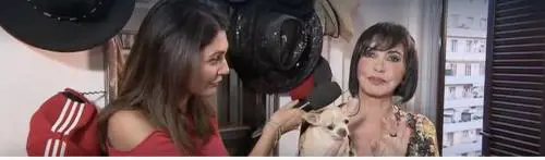 Fiordaliso disperata, morta la sua chihuahua che aveva salvato in extremis