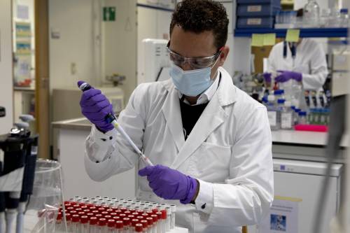 L’allarme degli scienziati: “Un nuovo fungo killer può diventar pandemia”