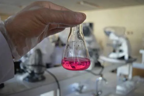 Sclerosi multipla, un farmaco potrebbe migliorare la vista 