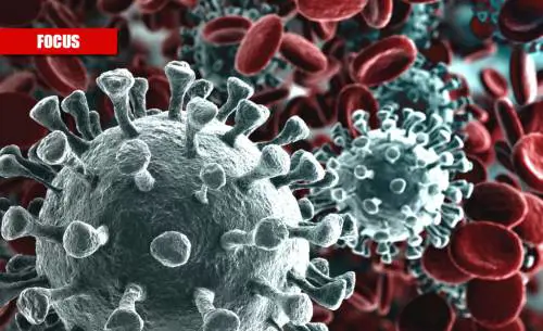 Un anno di pandemia non basta: cosa non sappiamo del Covid