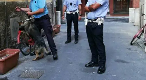 "Caccia all'uomo con i cani contro clochard e parcheggiatori abusivi". "No, solo lotta alla criminalità"