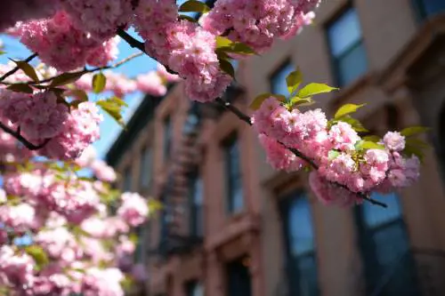 New York, i libri più belli che raccontano la Grande Mela