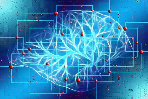 L'intelligenza artificiale può predire il rischio di morte precoce