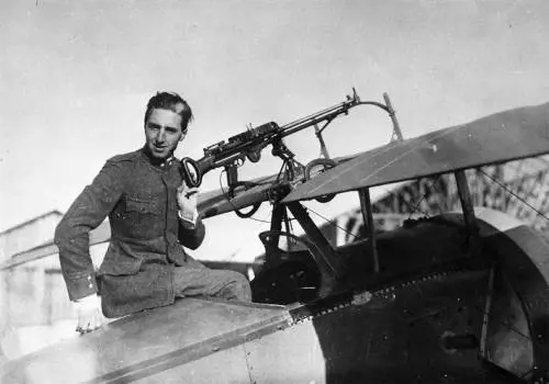 Scarpe "animalissime", mosche e dialetti. La guerra dei Gadda