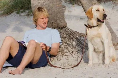 Io e Marley, così sono state realizzate le scene con il labrador
