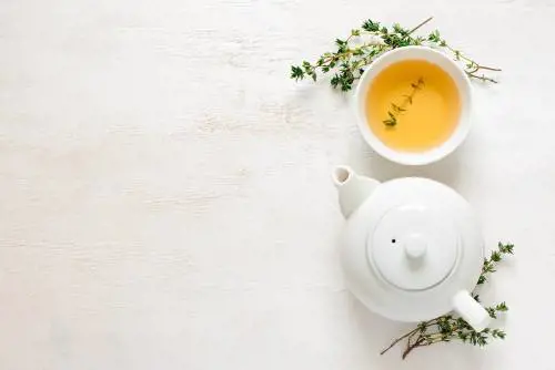 Tè verde, proprietà e benefici di questa antica bevanda