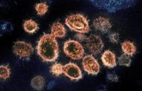 La grande balla sulle superfici: quali sono i rischi di ammalarsi