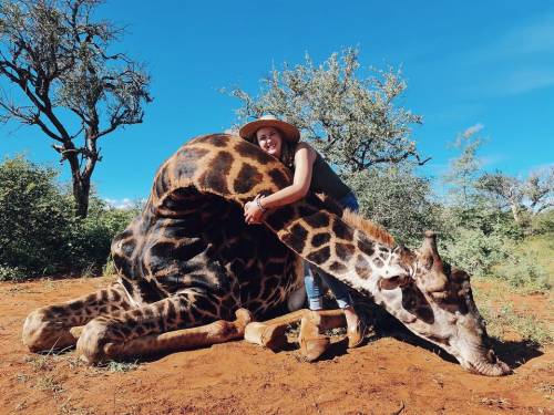 Cacciatrice uccide giraffa e regala il cuore dell'animale al marito: "È per San Valentino"