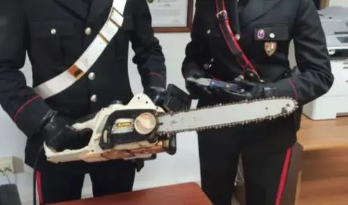 Minaccia la moglie con una motosega: fermato dai carabinieri, subisce un Tso