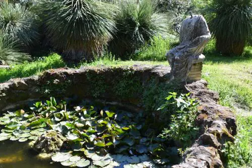 Milano e Roma, due luoghi all’aperto in cui andare ora: l’Orto Botanico di Brera e l’Orto Botanico di Roma (e la fontana più antica di Milano)
