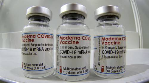 Moderna "aggiorna" il vaccino "Funziona contro la variante sudafricana"