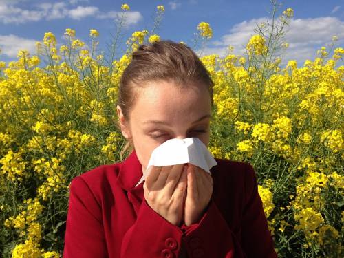 Allergia da polline anche in autunno: ecco perché e cosa succede