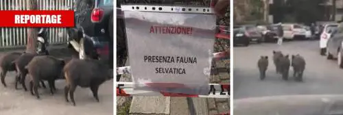 "Pure un ragazzino aggredito, ma vogliono vietare la caccia"