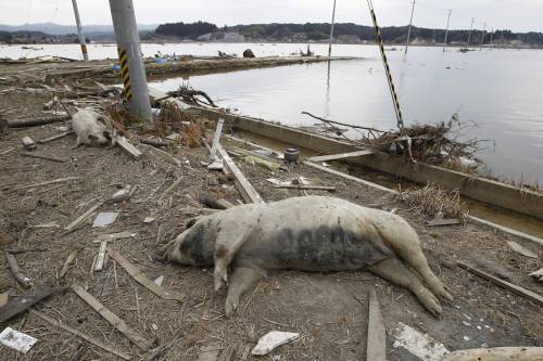 Fukushima, dieci anni dopo continua il disastro nucleare