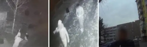 I rom rubano le pecore dei bimbi: "Le abbiamo mangiate al banchetto nuziale"