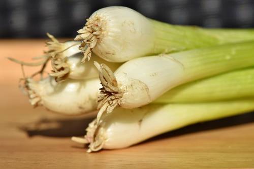 Porro, l'ortaggio gustoso alleato della salute del cuore