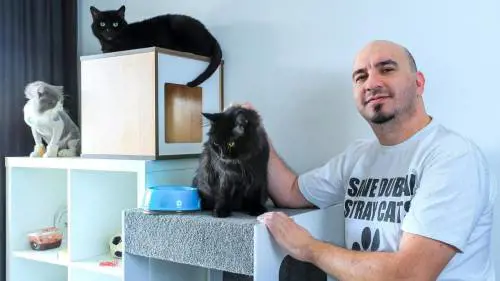 L'uomo che sta salvando cani e gatti da una strage