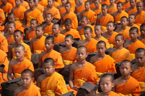 Chiude tempio buddista, tutti i monaci sono positivi alla droga