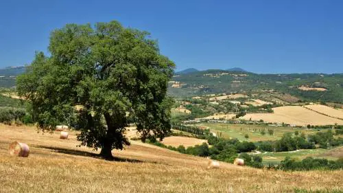 Fuga dalla città, sogno o incubo?