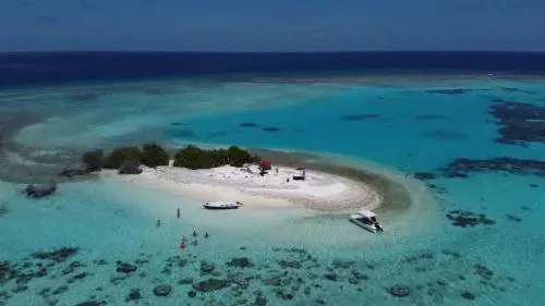 La "follia" di Speranza sui viaggi: "Così non prenota più nessuno"