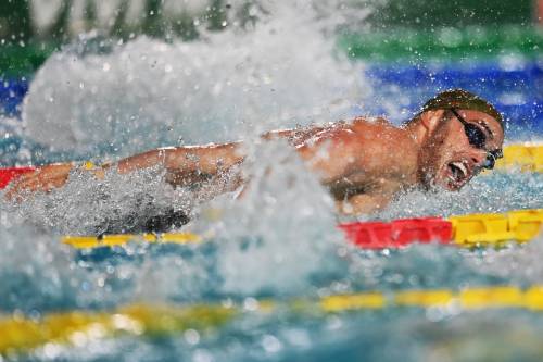 Il nuoto azzurro vola. Anche senza piscine