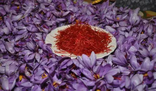 Muore avvelenato per una pasta: attenzione al fiore che "inganna"