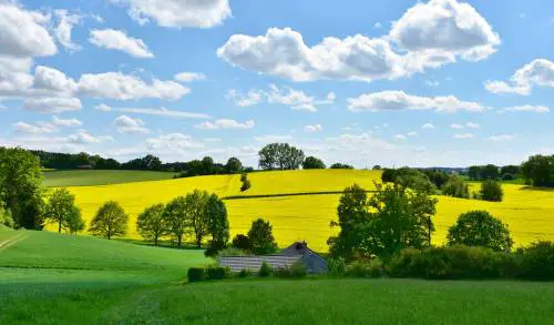 I "conservatori verdi" tra campagna e agricoltura