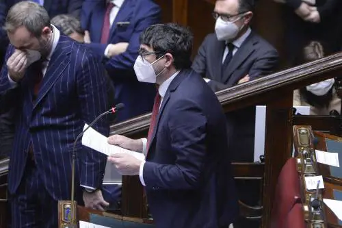 La sinistra vuole l'utero in affitto, ma gratis