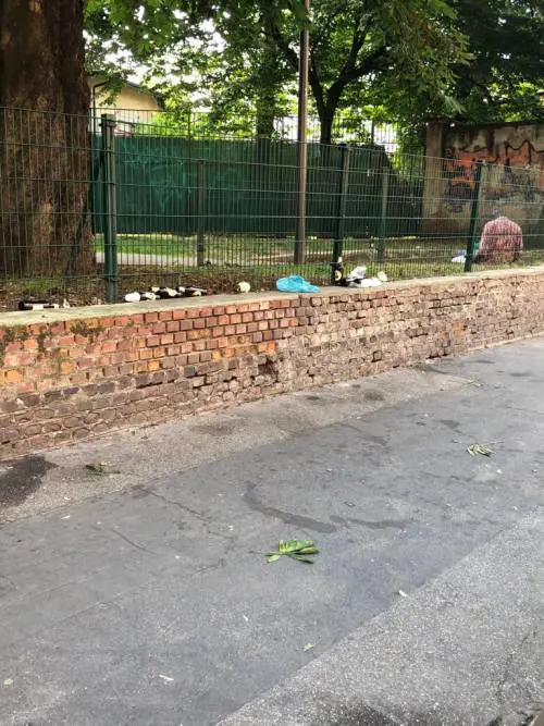 Degrado al Parco Trotter di Milano