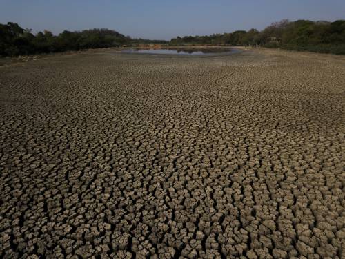 "Combatteremo per l'acqua" Così la pandemia scatenerà la guerra