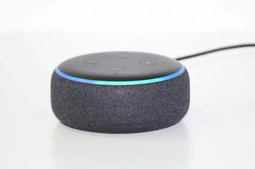 "Non è anniversario della Liberazione": Alexa non riconosce il 25 aprile
