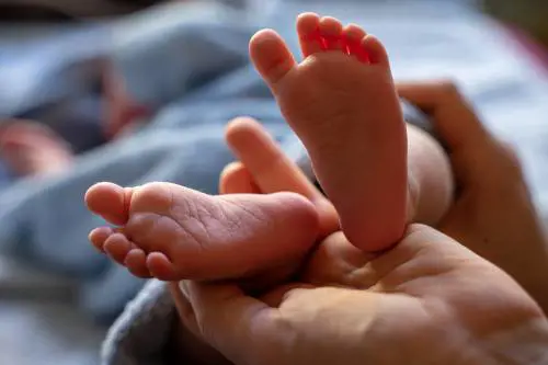 Torniamo a fare figli