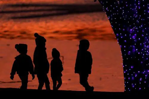 Digitalizzazione e transizione energetica: un binomio inscindibile