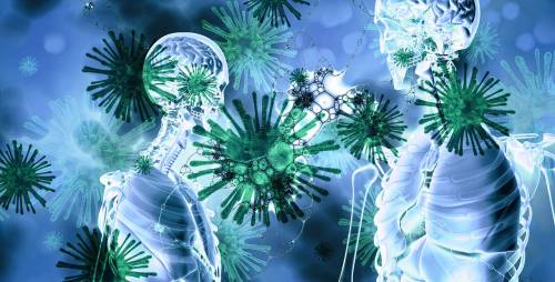 Covid, creato il nuovo atlante delle cellule polmonari colpite dal virus