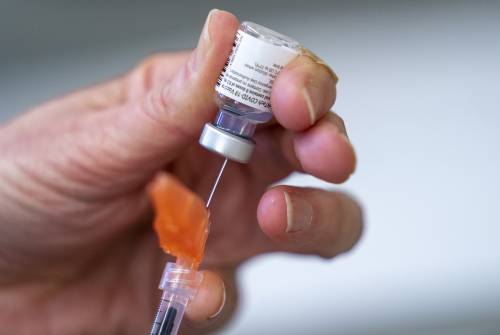 La scoperta che "aggiorna" i vaccini: così si combattono le varianti