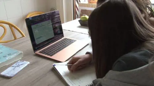 La didattica a distanza può aiutare l’apprendimento