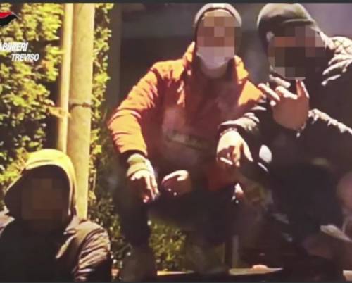 Pestaggi, rapine e furti: così la gang terrorizza la provincia
