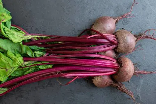 Barbabietola, benefici e utilizzi per il benessere